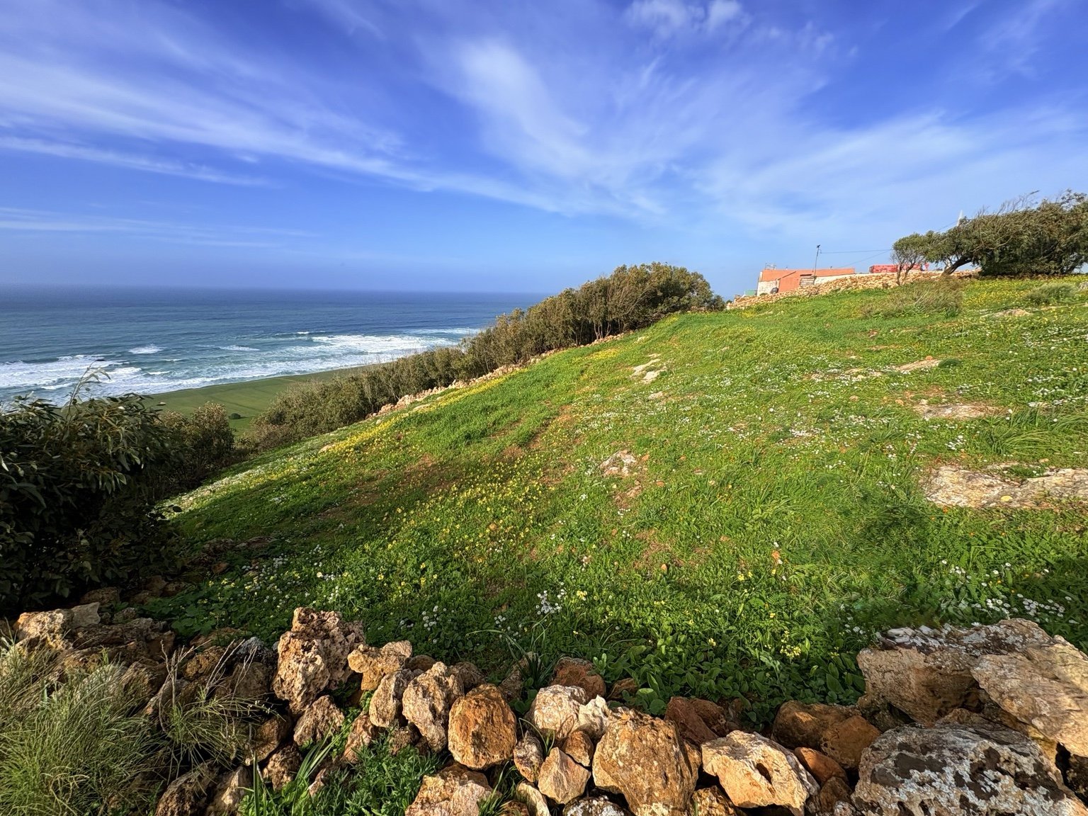 Terrain verdoyant du Domaine, arbres et côte atlantique sous un ciel bleu